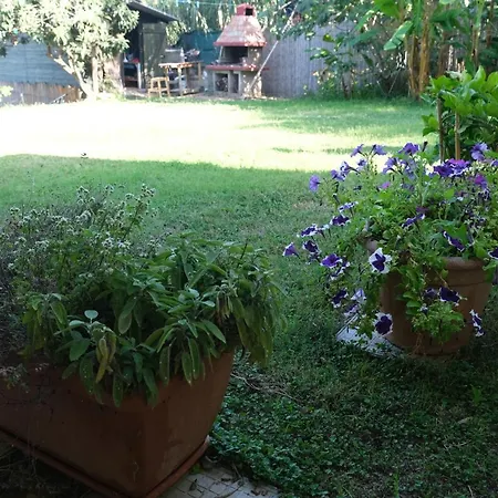 Holiday home Casa Vacanze Il Giardino *
